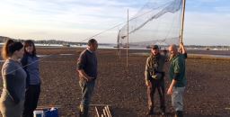 Tim Frayling Devon and Cornwall Wader Ringing Group - Mist-netting
