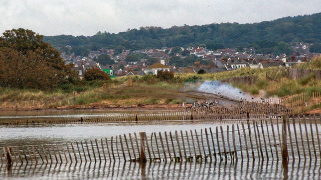 Nets firing over flock of oystercatcher © Andrew Carter